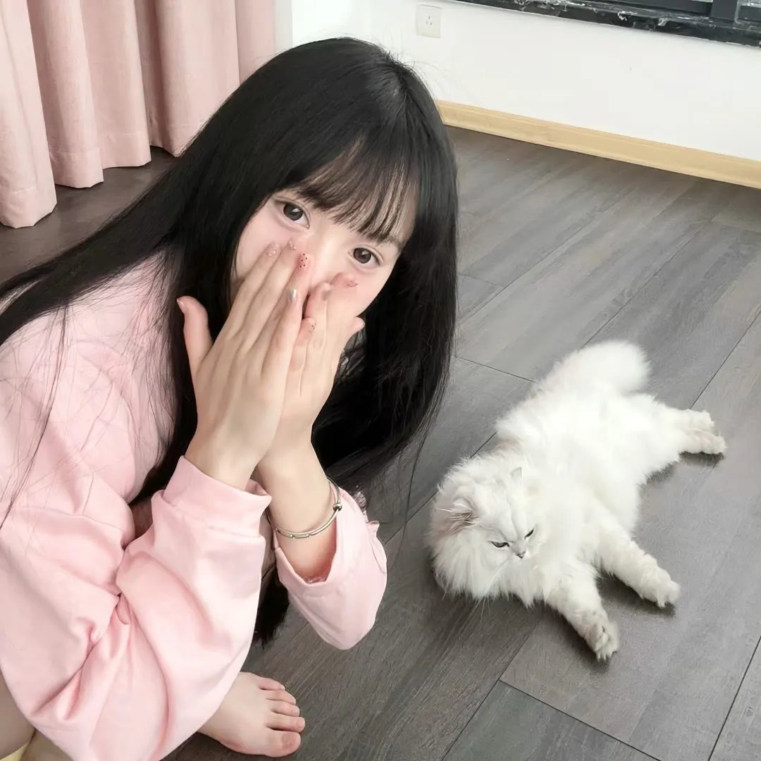 阻碍